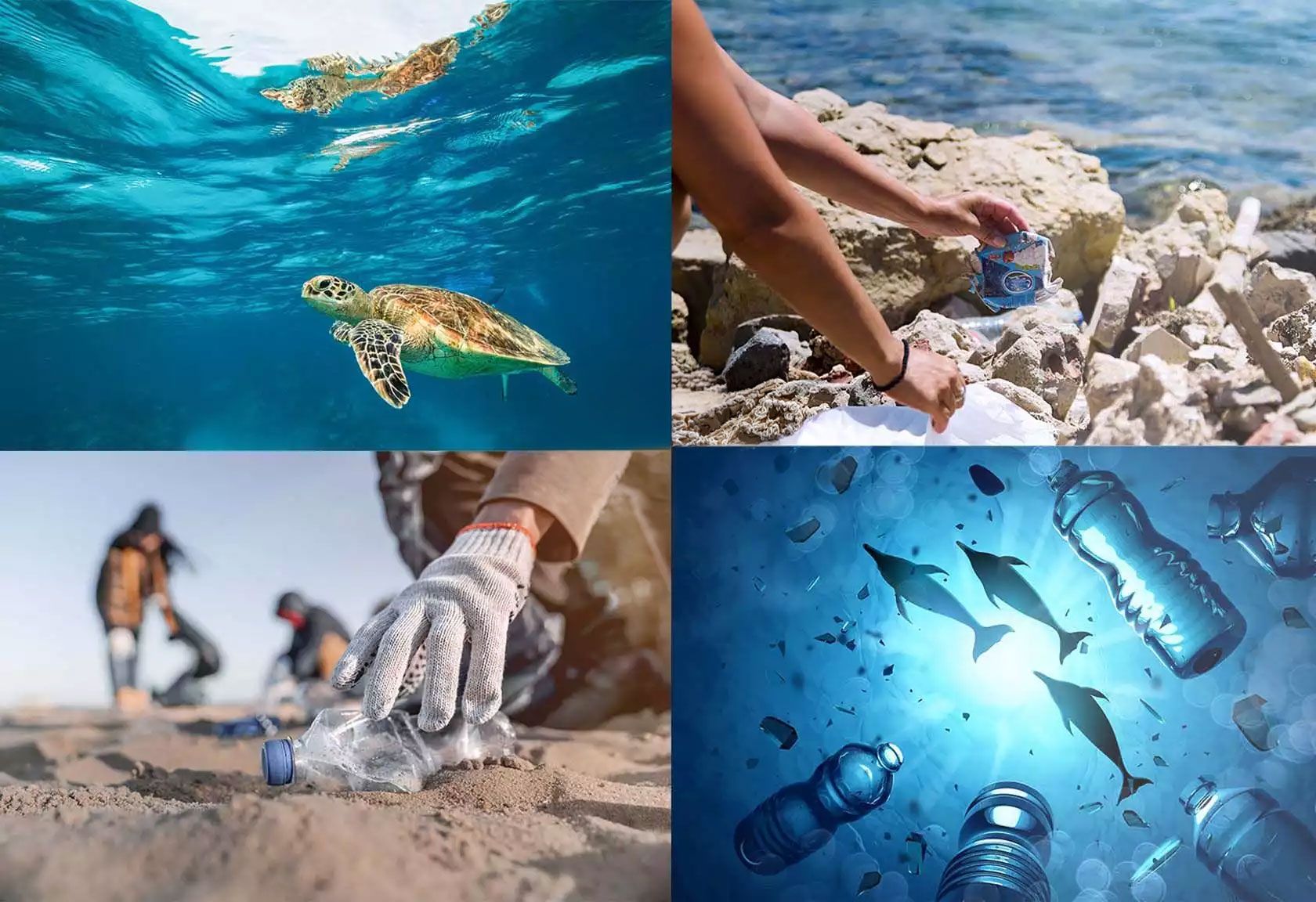 Clean Ocean Project: Menschen sammeln Plastikmüll am Strand, um Meereslebewesen zu schützen.