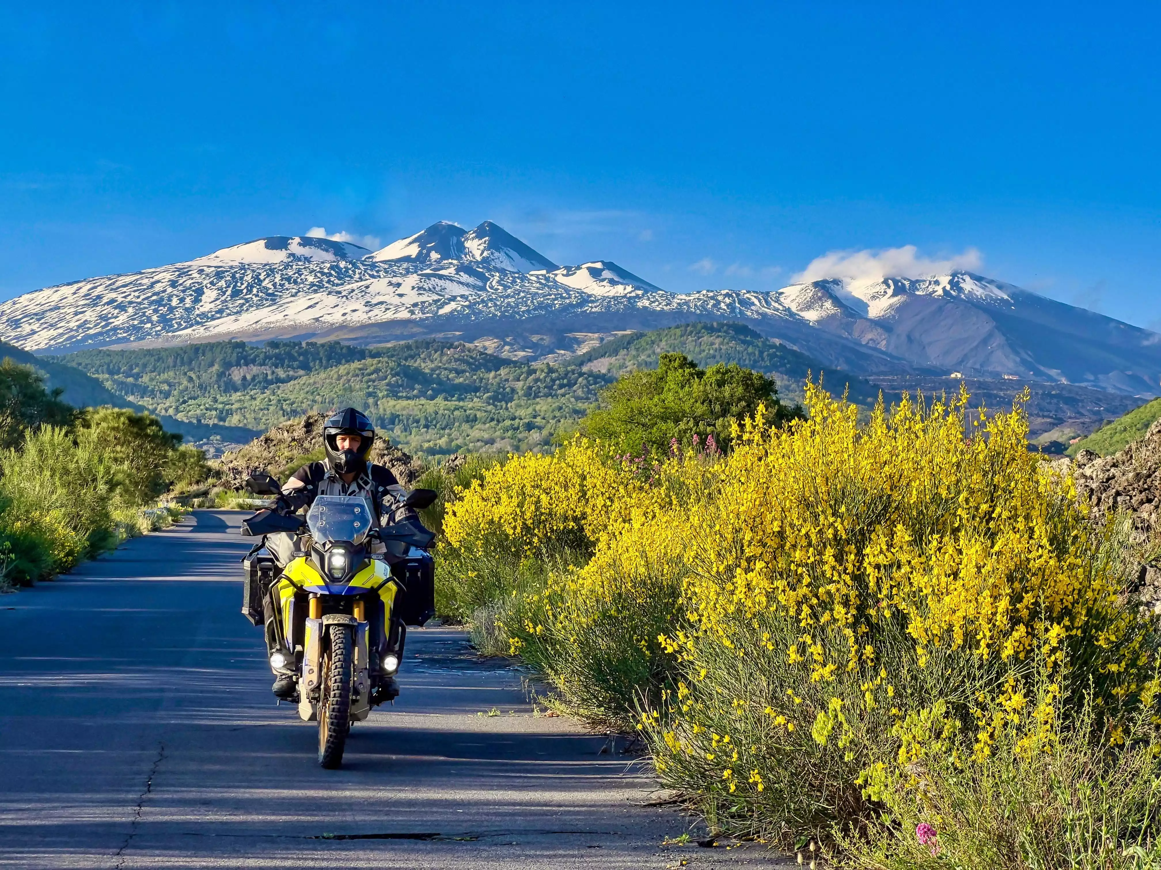 Motorradfahrer auf Suzuki Adventure-Bike vor schneebedecktem Berg und blühenden Sträuchern
