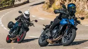 Zwei Suzuki GSX-8S in sportlicher Schräglage auf einer kurvigen Landstraße, vorne in Blau, dahinter ein schwarzes Modell mit roten Felgen.