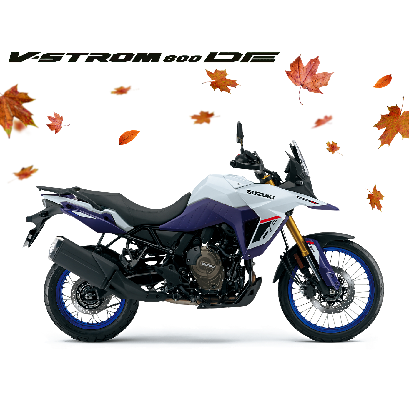 Suzuki V-Strom 800DE weiß-blau, Adventure Enduro Motorrad 2025, linker Profilblick mit goldfarbener Gabel, Alpen Masters Sieger 2023