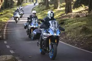 Motorradgruppe fährt durch eine kurvige Waldstraße.