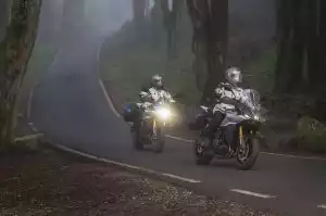 Zwei Motorradfahrer fahren durch nebligen Wald auf kurviger Straße.