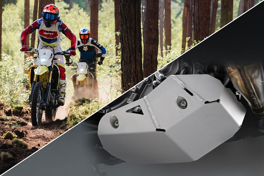 Halbiertes Motiv, DR-Z4S im Wald auf der linken Seite, Nahaufnahme des Unterfahrschutzes auf der rechten Seite