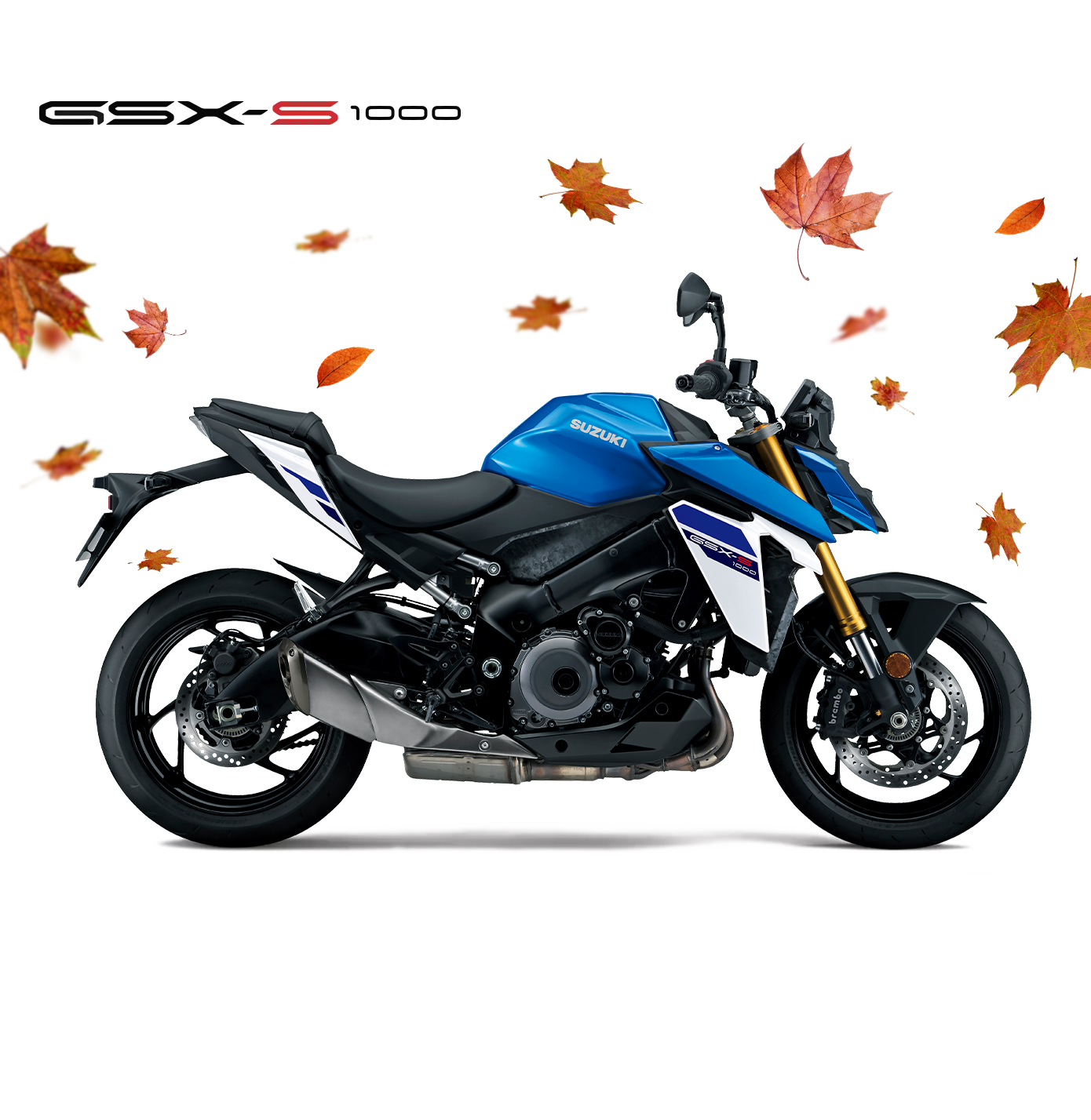 Suzuki GSX-S1000 blau-weiß, Naked Bike 2025, linker Profilblick, sportliches Design mit goldfarbener Frontgabel und schwarzem Motorblock
