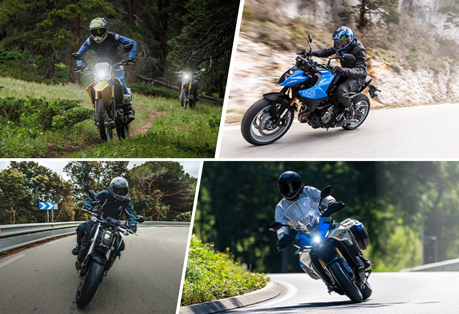 Collage aus vier Fotos verschiedener Suzuki-Motorräder in Aktion: ein Offroad-Bike auf Waldweg, ein blaues Naked-Bike auf kurviger Straße, ein weiteres Naked-Bike in Schräglage sowie ein Touring-Motorrad auf Landstraße.